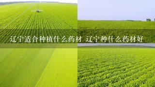 辽宁适合种植什么药材 辽宁种什么药材好