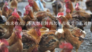 跪求指点，本人想在陕西兴平市接受1汇通快递，转让费6万，不知划算不，求高人指点