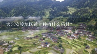 大兴安岭地区适合种植什么药材？