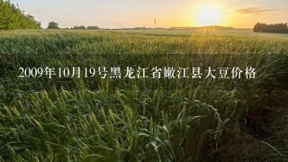 2009年10月19号黑龙江省嫩江县大豆价格