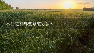 水仙花有哪些繁殖方法？