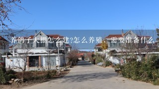 养鸽子大棚怎么建?怎么养殖，需要准备什么