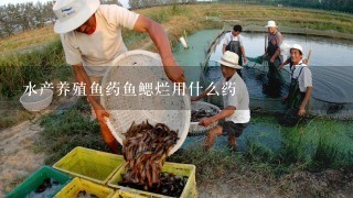 水产养殖鱼药鱼鳃烂用什么药