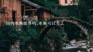 国内水獭能养吗,水獭可以养么