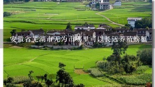 安徽省芜湖市无为市哪里可以长远养殖螃蟹