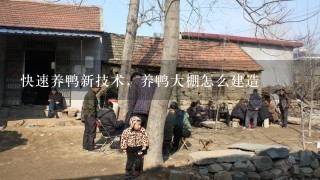 快速养鸭新技术，养鸭大棚怎么建造