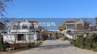 2022年湖南能养殖竹鼠吗