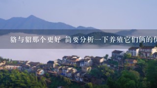 貉与貂那个更好 简要分析1下养殖它们俩的优点和缺