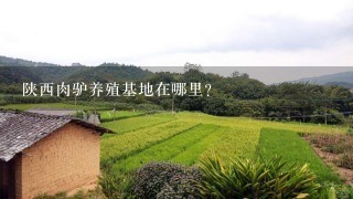 陕西肉驴养殖基地在哪里？