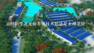 去盱眙学习龙虾养殖技术好还是去湖北好1点？两个地方我都不认识人，我只想找私人养殖场的老板那里去学习