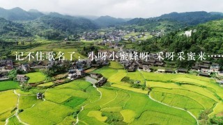 记不住歌名了：小呀小蜜蜂呀 采呀采蜜来……