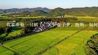 我家养勒1只蝎子，关在盒子里，跑勒，如何找到它（在屋子里）