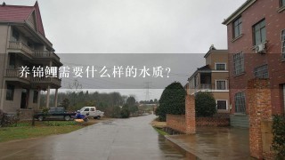 养锦鲤需要什么样的水质？