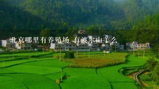 北京哪里有养殖场 有波尔山羊么