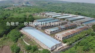 鱼塘里1般都投喂什么饲料？