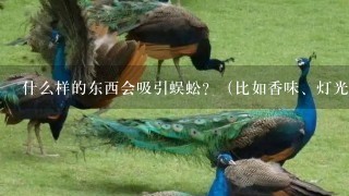 什么样的东西会吸引蜈蚣？（比如香味、灯光什么的、）？