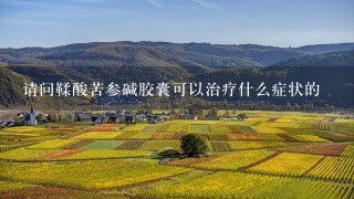 请问鞣酸苦参碱胶囊可以治疗什么症状的