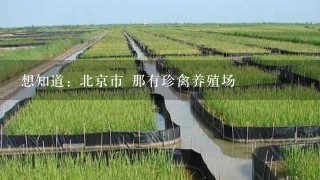 想知道: 北京市 那有珍禽养殖场