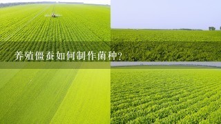 养殖僵蚕如何制作菌种？