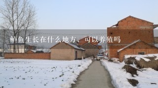 鲈鱼生长在什么地方，可以养殖吗