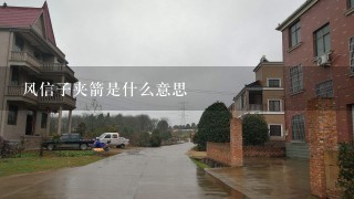 风信子夹箭是什么意思