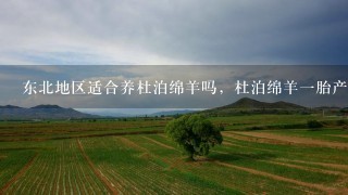 东北地区适合养杜泊绵羊吗，杜泊绵羊1胎产几羔，母羊从出生到多久发情，谢谢回答？