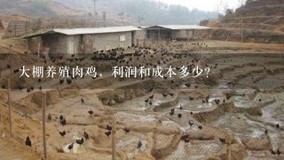 大棚养殖肉鸡，利润和成本多少？