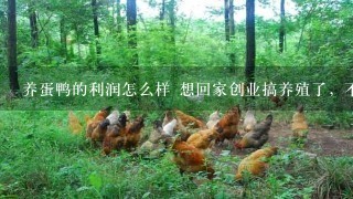 养蛋鸭的利润怎么样 想回家创业搞养殖了，不知道养蛋鸭利润高不高，有人指点下吗