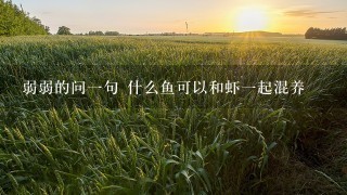 弱弱的问1句 什么鱼可以和虾1起混养