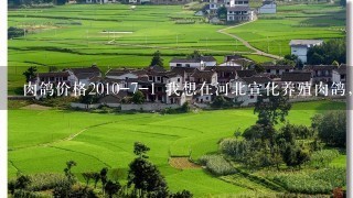 肉鸽价格2010-7-1 我想在河北宣化养殖肉鸽，不知道哪里有收购肉鸽即供应种鸽的地方，希望业内...