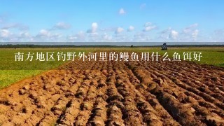 南方地区钓野外河里的鳗鱼用什么鱼饵好