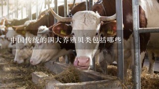 中国传统的4大养殖贝类包括哪些