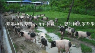 养殖场现养波尔山羊和黄牛，想问问大家都喂什么草料呢？