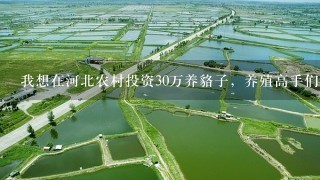 我想在河北农村投资30万养貉子，养殖高手们给个建议，觉得怎么样？