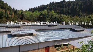 我想在陕西汉中做山鸡养殖，山鸡养殖现在市场怎么样？西安有酒店收购吗？养殖技术难吗？