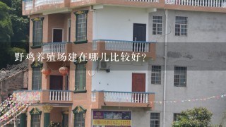 野鸡养殖场建在哪儿比较好？