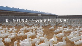 养牛饲料需要生物添加剂吗，量大吗？