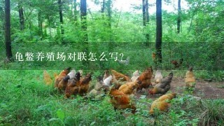 龟鳖养殖场对联怎么写?