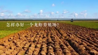 怎样办好1个龙虾养殖场？