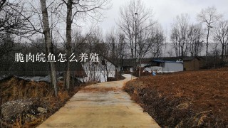 脆肉皖鱼怎么养殖