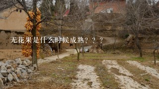 无花果是什么时候成熟？？？