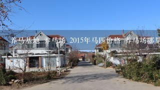 养马基地 养马场 2015年马匹价格 养马场哪里最好 马养殖