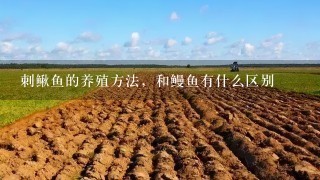 刺鳅鱼的养殖方法，和鳗鱼有什么区别