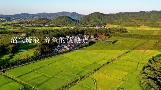 沼气废液 养鱼的优缺点