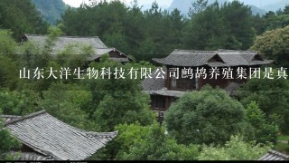 山东大洋生物科技有限公司鹧鸪养殖集团是真的吗？？