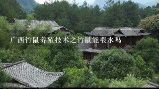 广西竹鼠养殖技术之竹鼠能喂水吗