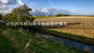 山东肉牛阿尔塔养殖基地在哪里