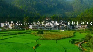 江苏又没有小尾寒羊养殖基地？我想引种但又不敢去山东引进。。 有的话请留下详细的联系地址谢谢。