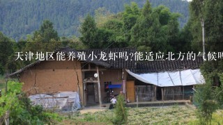 天津地区能养殖小龙虾吗?能适应北方的气候吗