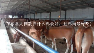 在东北大棚散养什么鸡最好，且鸡肉最好吃？